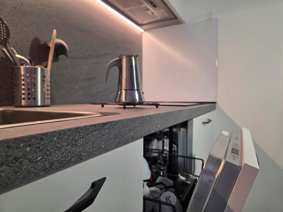 Kitchen or kitchenette, dishwasher, stove