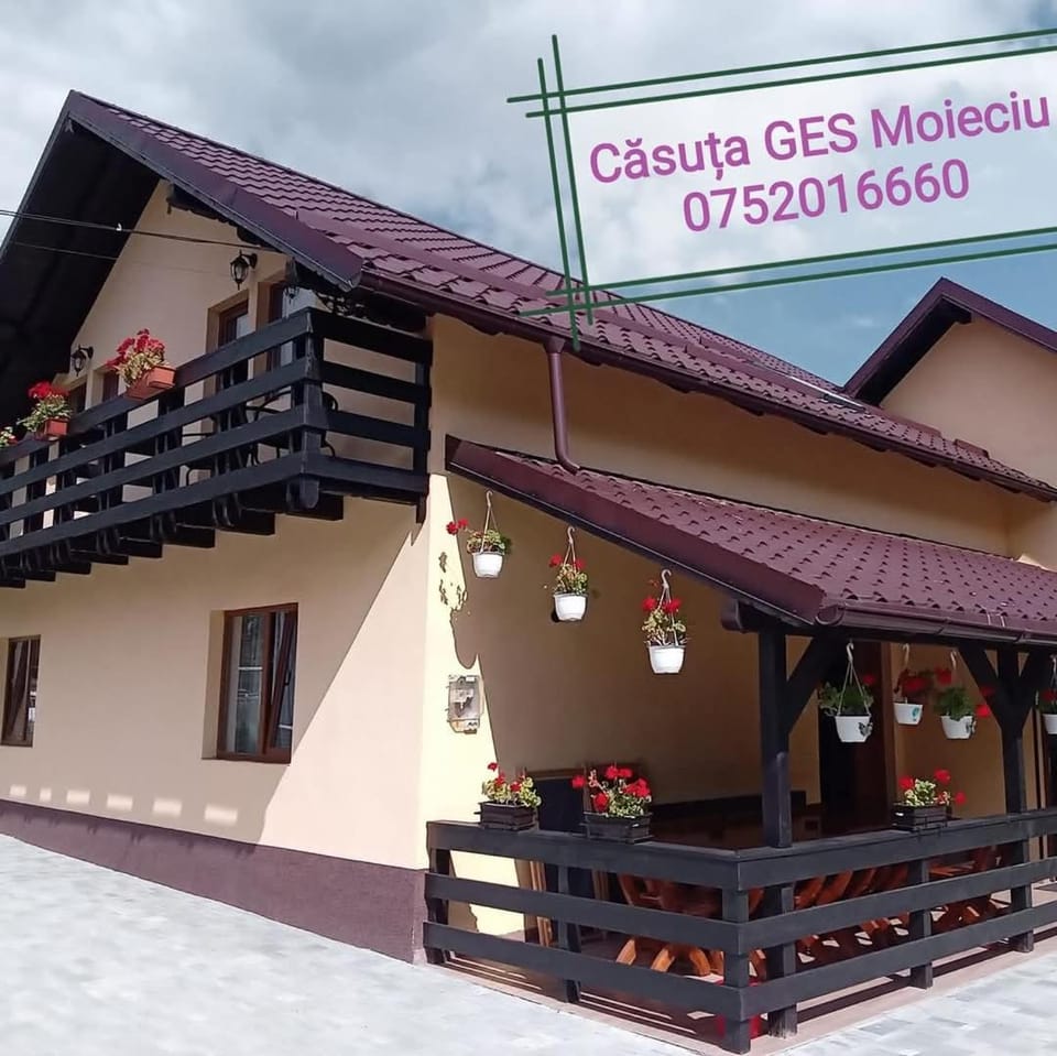 Căsuța GES House in Brașov County