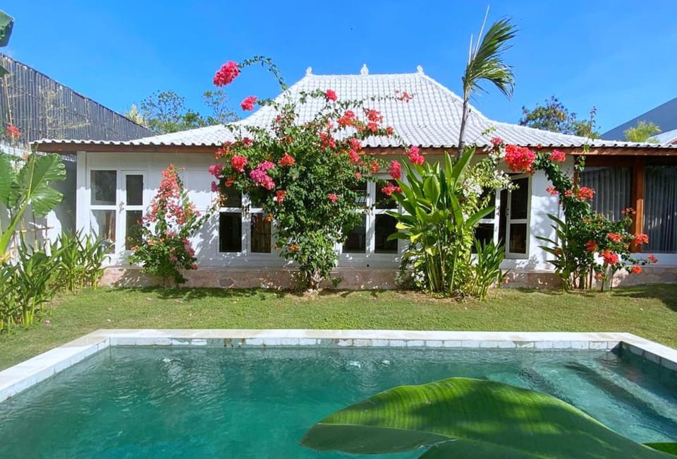 Property building, Spring, Day, Natural landscape, Garden, Garden view, Pool view, Swimming pool