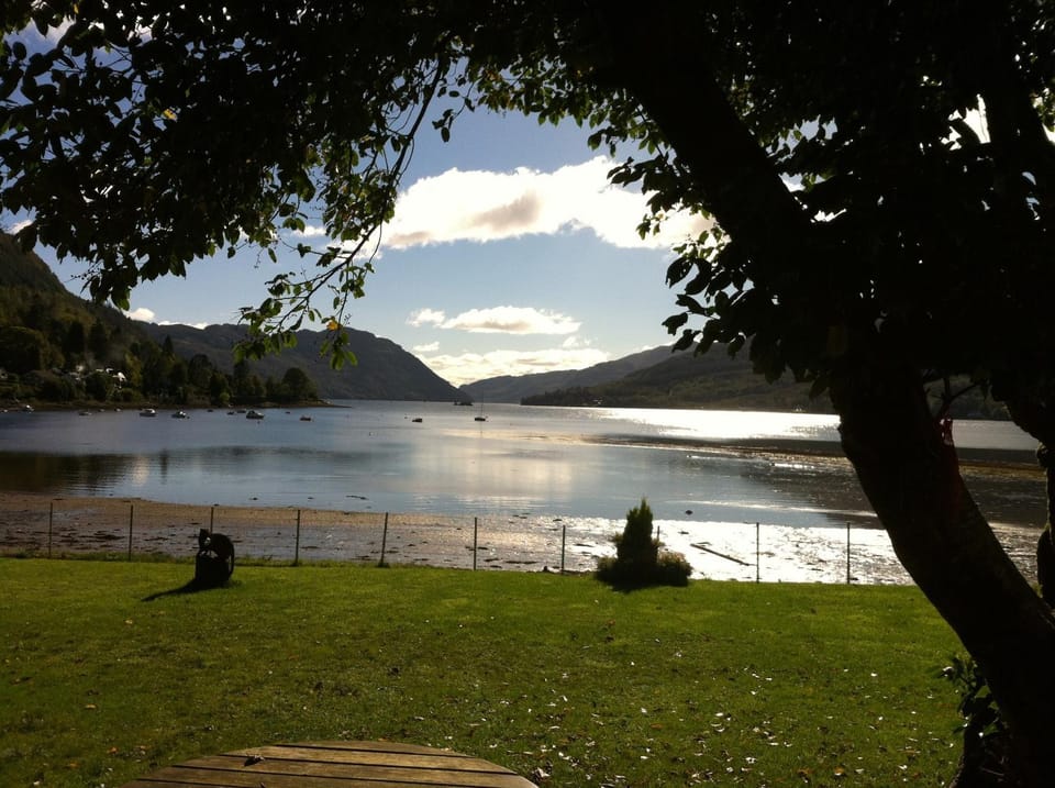 Summer, Lake view