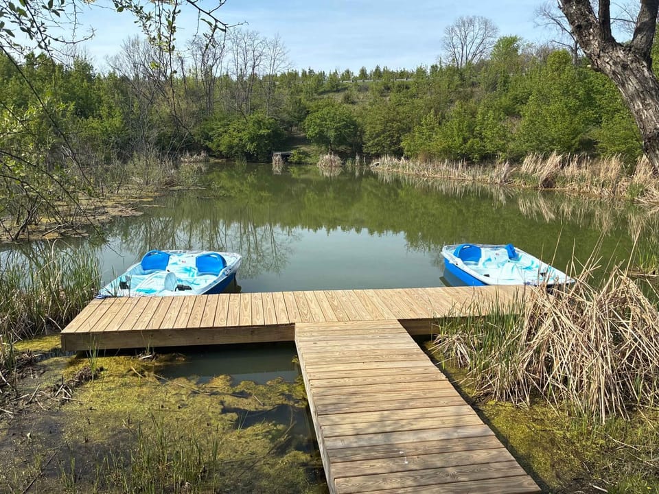The Lodges at Eden Reserve - Cabin Loop - Near Ark Cabin in Williamstown