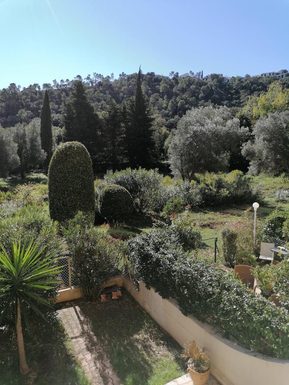 Garden view