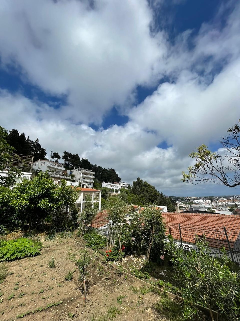 Cool room in Authentic Montenegro House Bed and Breakfast in Ulcinj