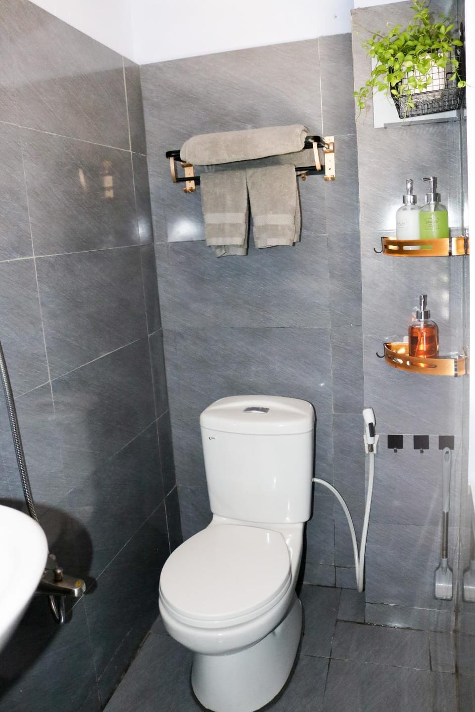 Toilet, Bathroom