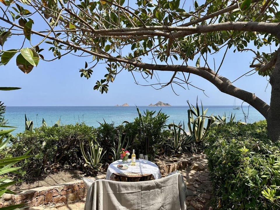 Garden, Beach, Sea view