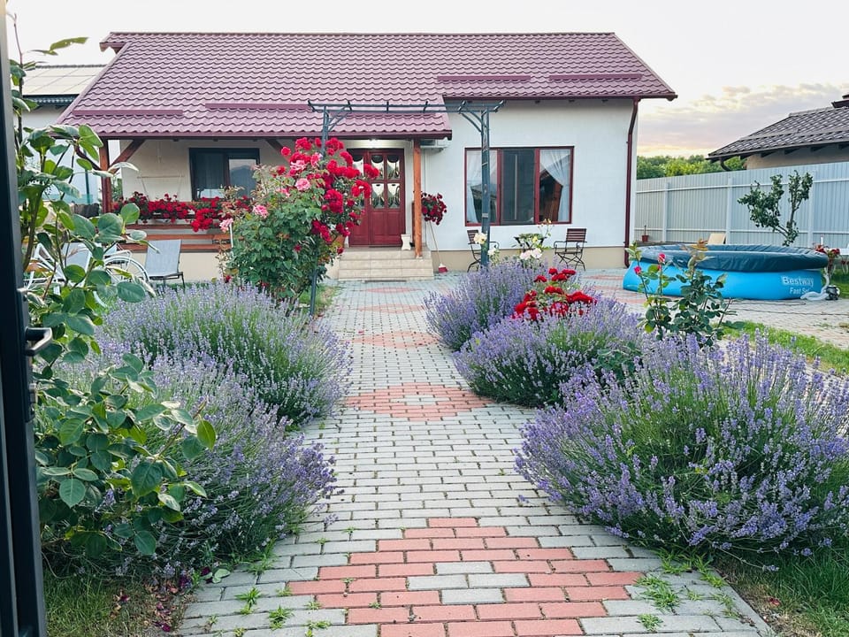 Property building, Garden view