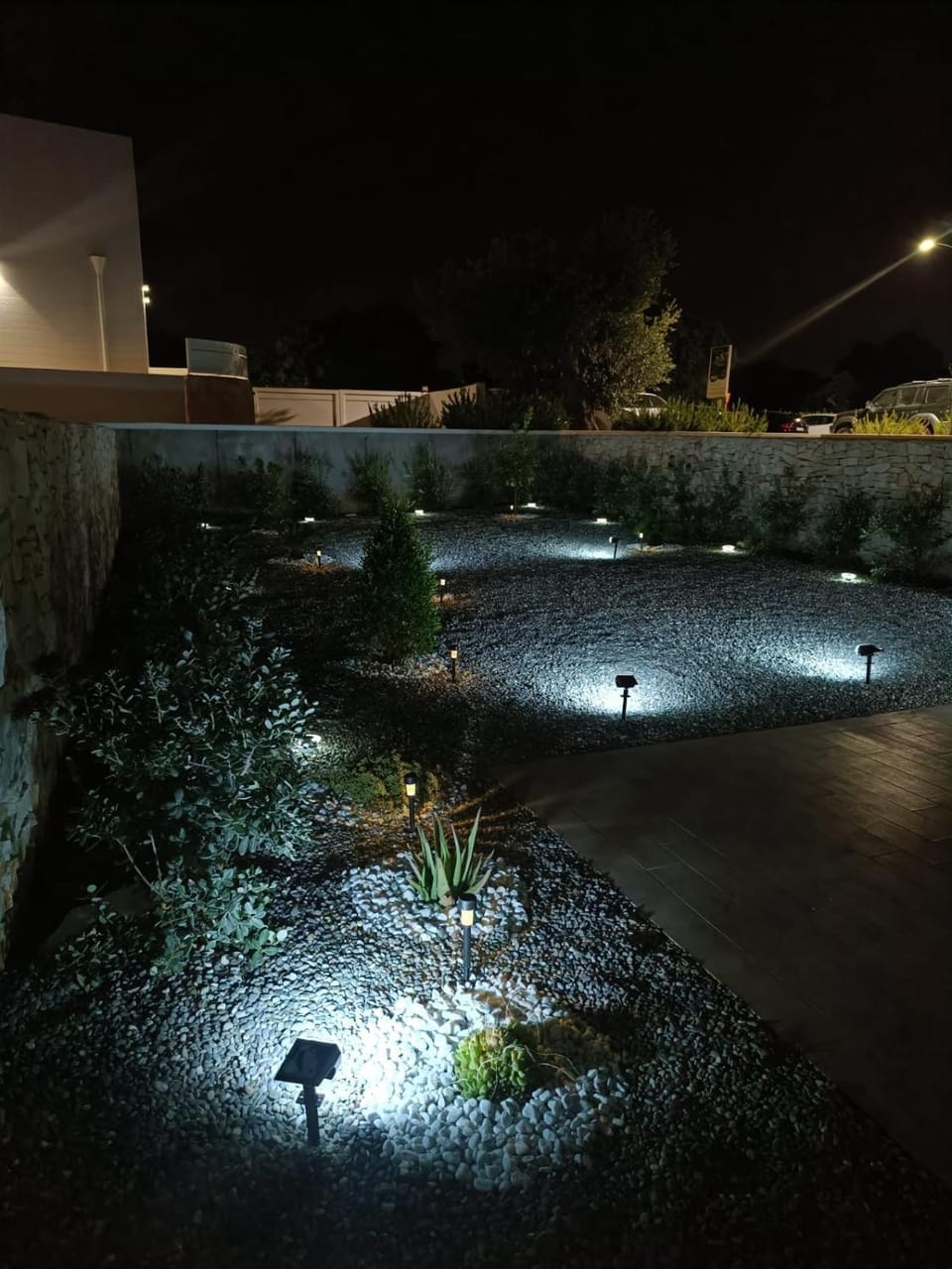 Night, Garden view