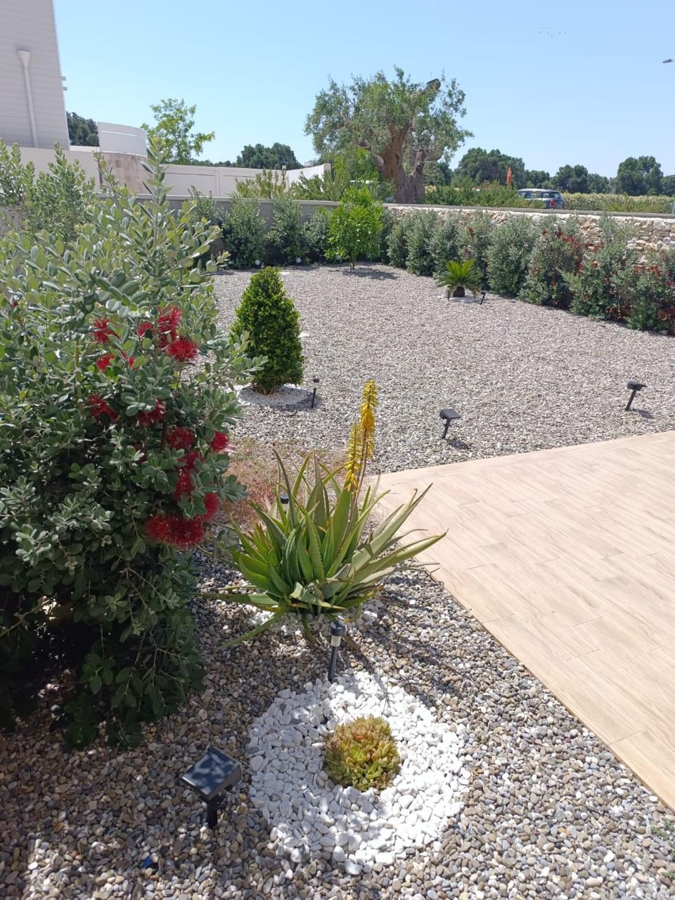 Garden view, Garden view