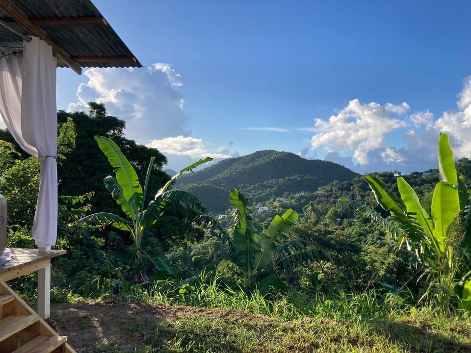 Mountain view