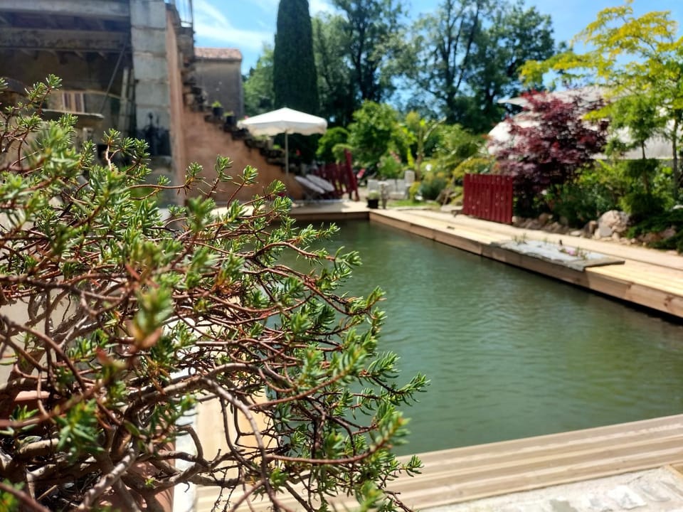 Garden, Garden view