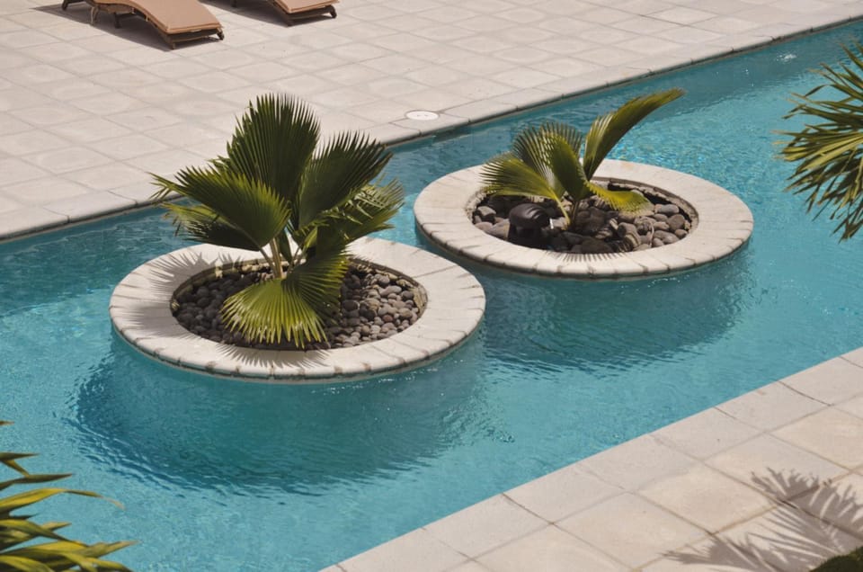 Pool view, Swimming pool
