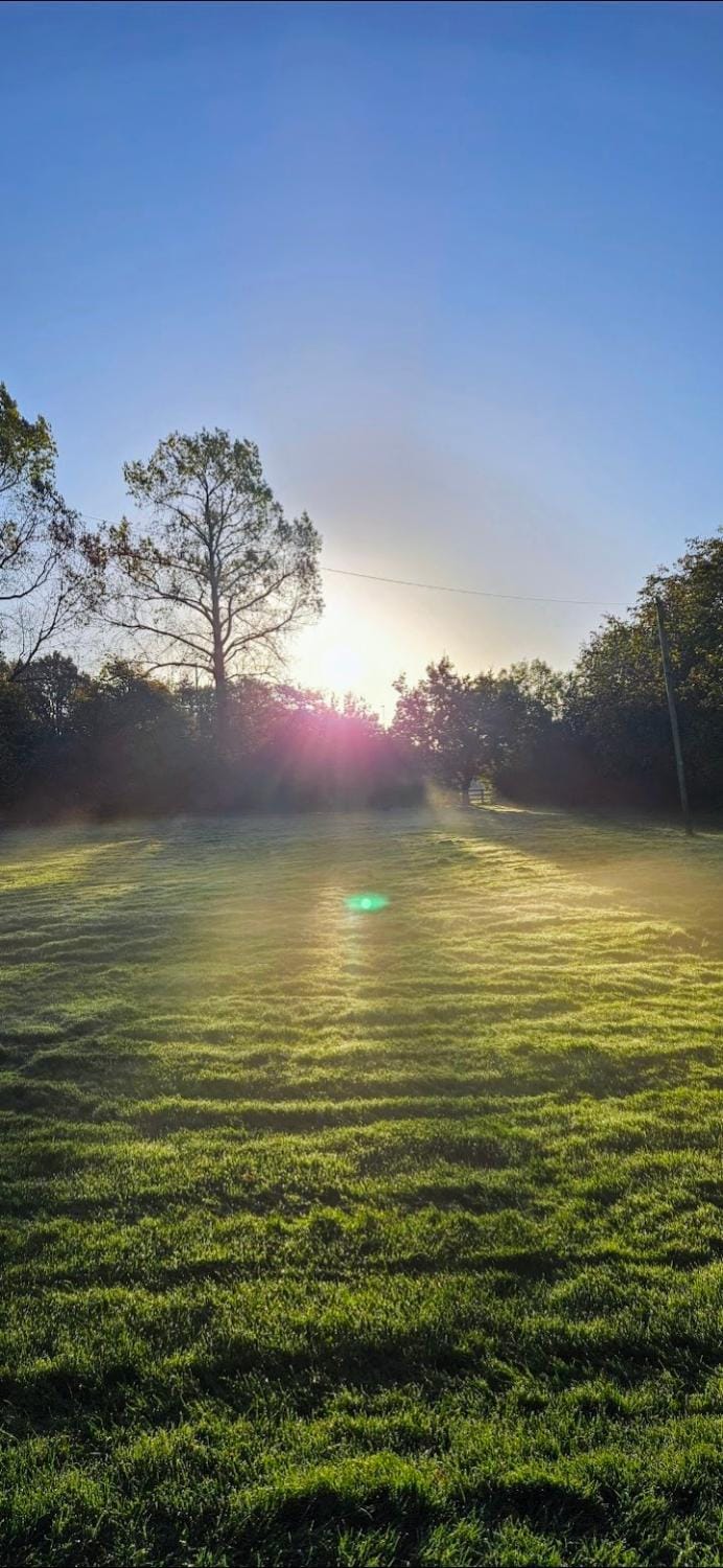 Wheeley Moor Farmhouse Farm Stay in Metropolitan Borough of Solihull