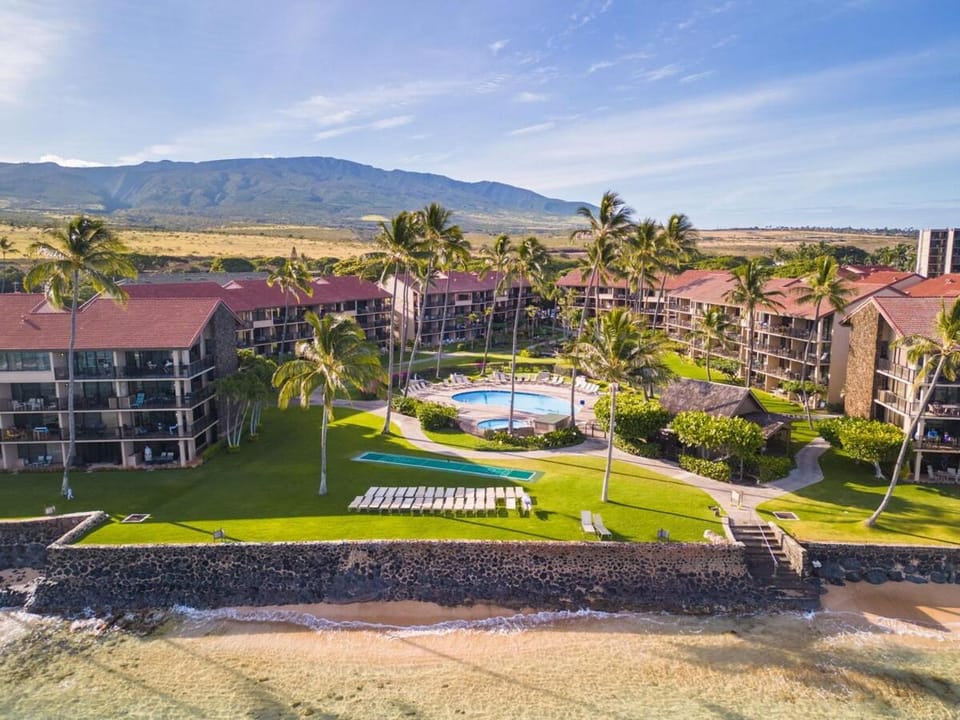 Papakea K301- Oceanview 1 bedroom coastal resort condo Apartment in Kaanapali