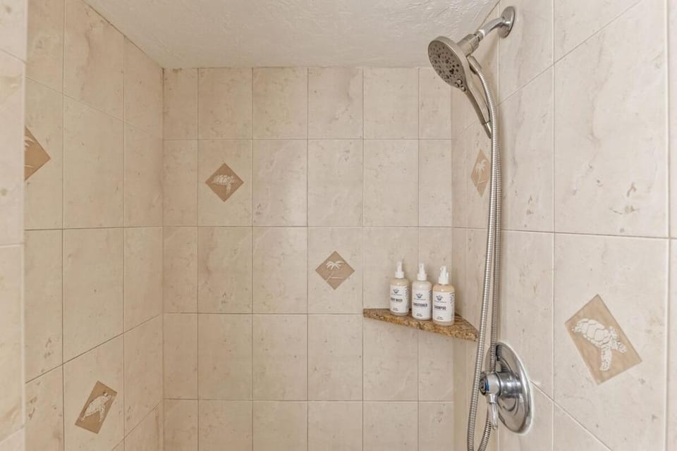 Papakea K301- Oceanview 1 bedroom coastal resort condo Apartment in Kaanapali