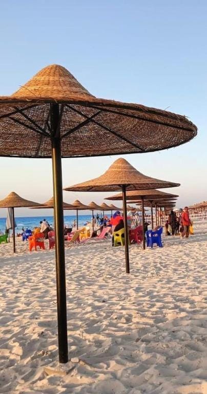 Day, People, Natural landscape, Beach, Sea view, group of guests, sunbed