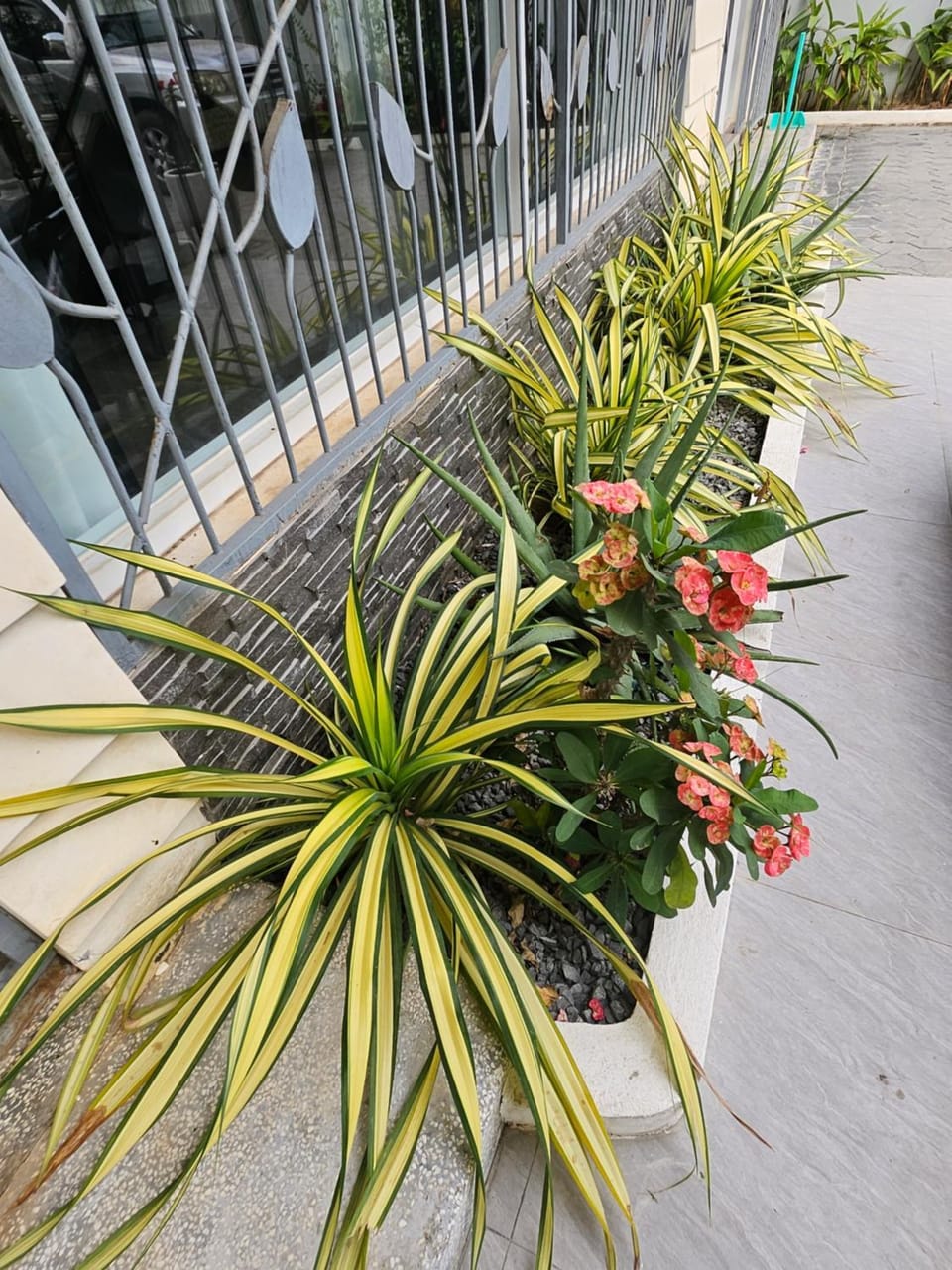 Garden, Garden view