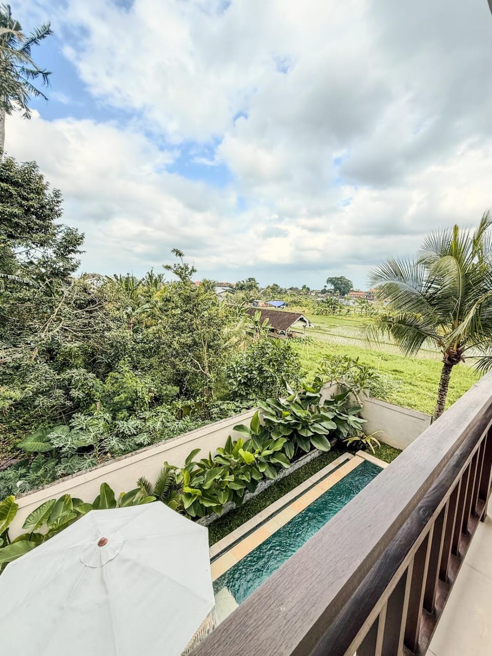 Garden view