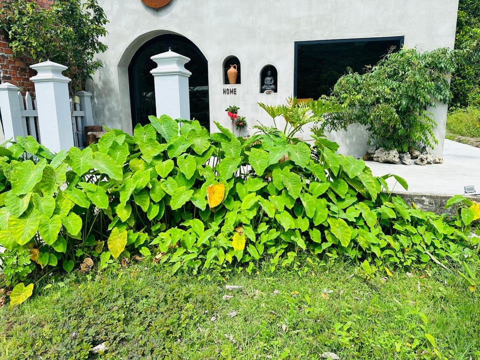 Ananda Home House in Hoi An