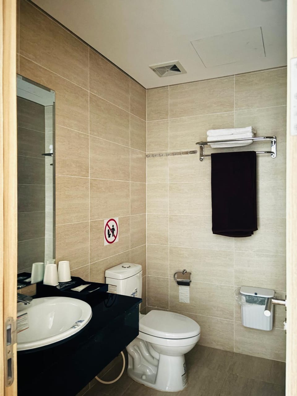 Shower, Toilet, bidet, towels
