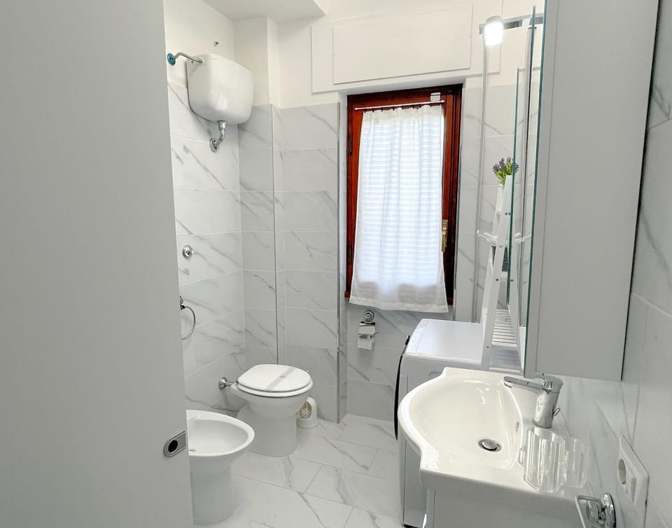 Shower, Toilet, Bathroom, bidet