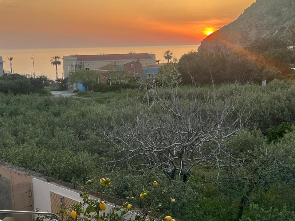 Il giardino delle magnolie Apartment in Milazzo