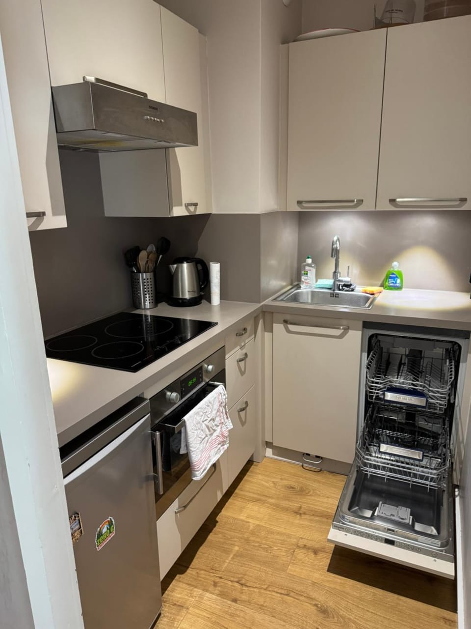 Chamonix city center rue Paccard Apartment in Chamonix