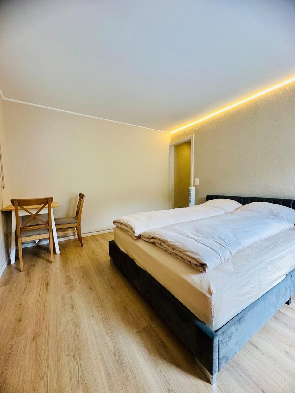 Modern and cozy studio Apartment in Sierre