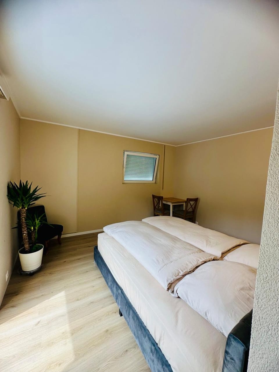Modern and cozy studio Apartment in Sierre