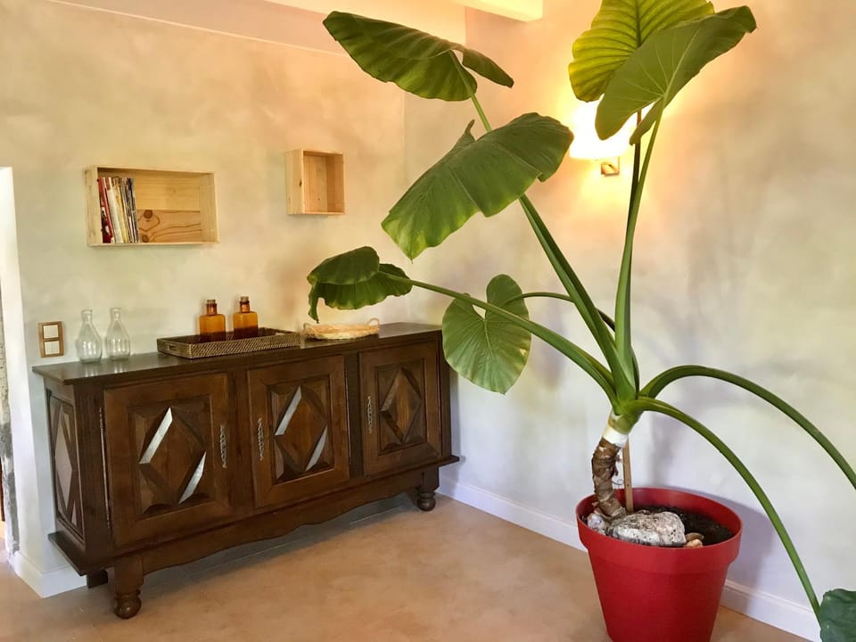 Gîte de charme à la campagne House in Nouvelle-Aquitaine