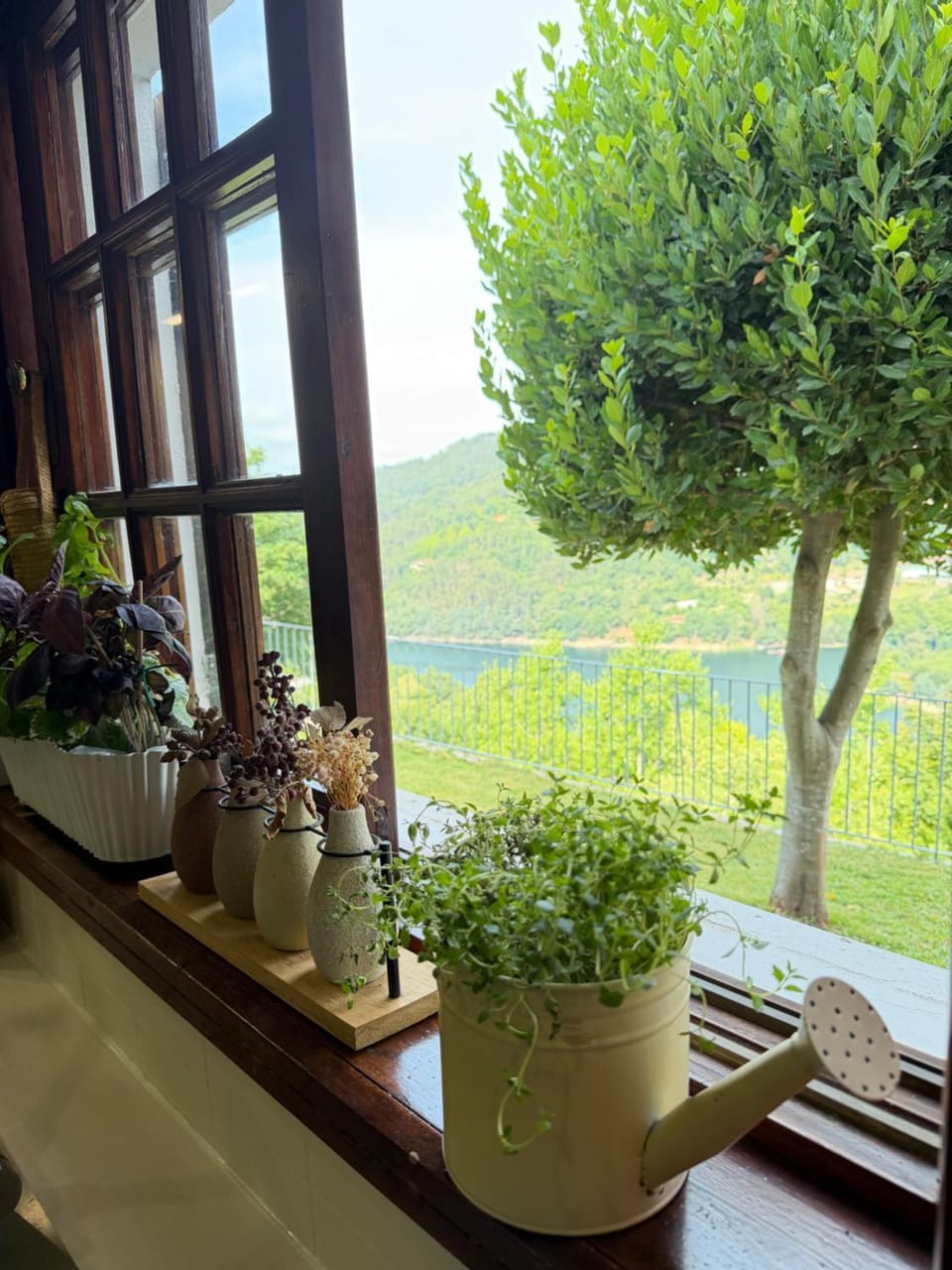 Garden view, kitchen