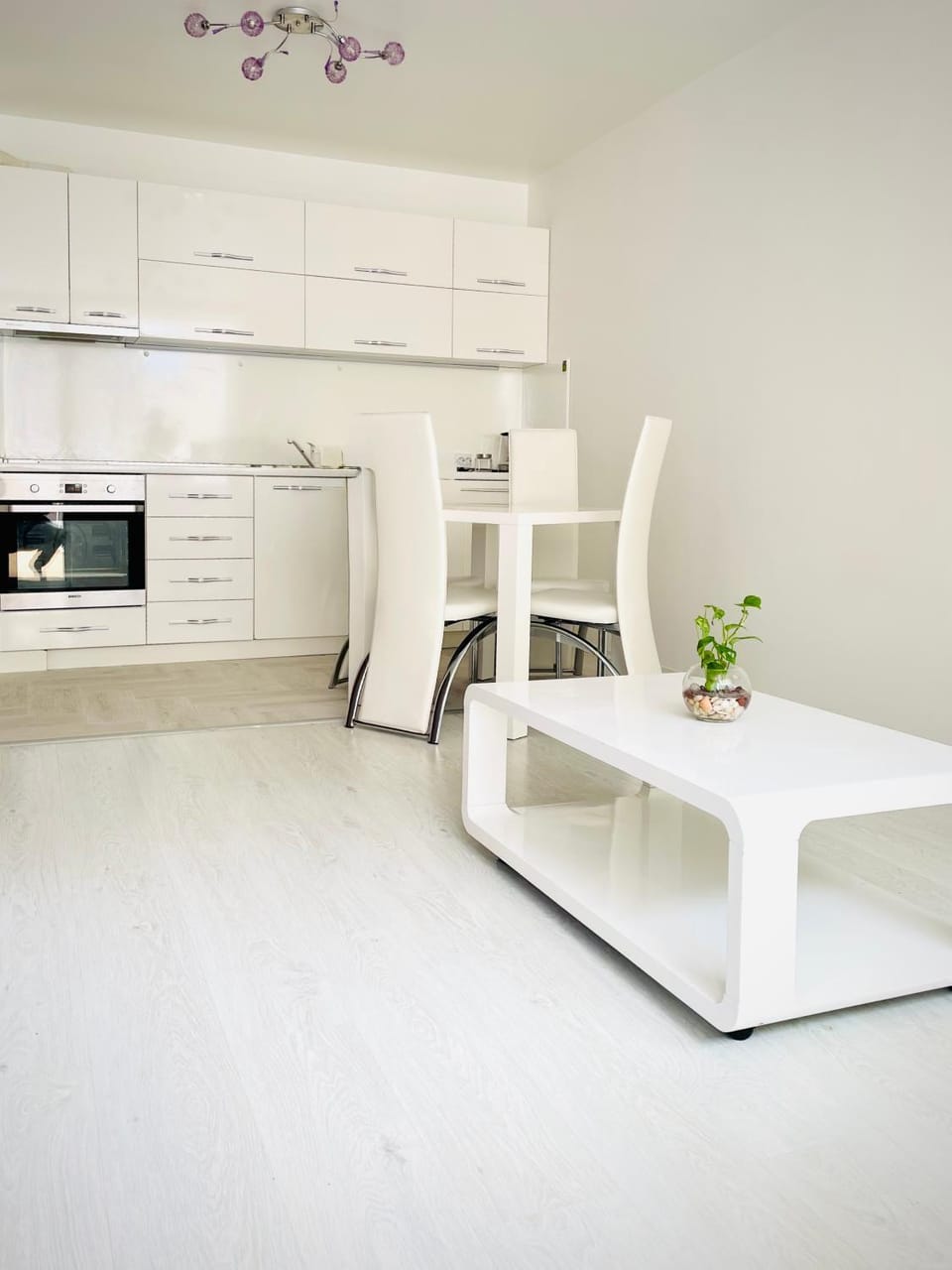 Kitchen or kitchenette, Dining area, oven, stove
