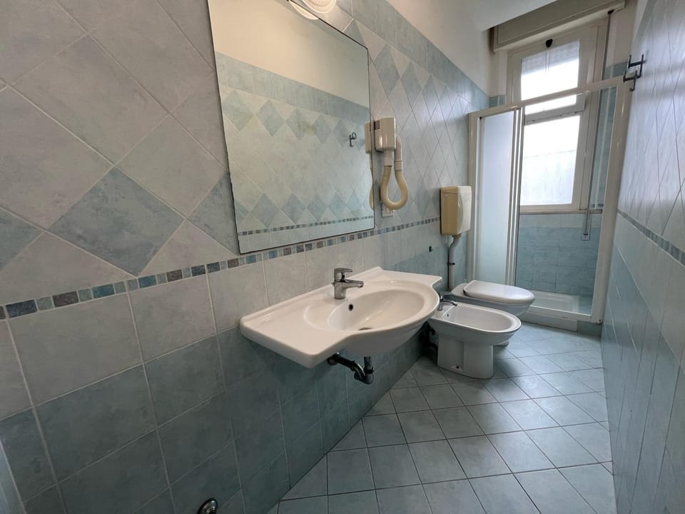 Shower, Toilet, Bathroom, bidet