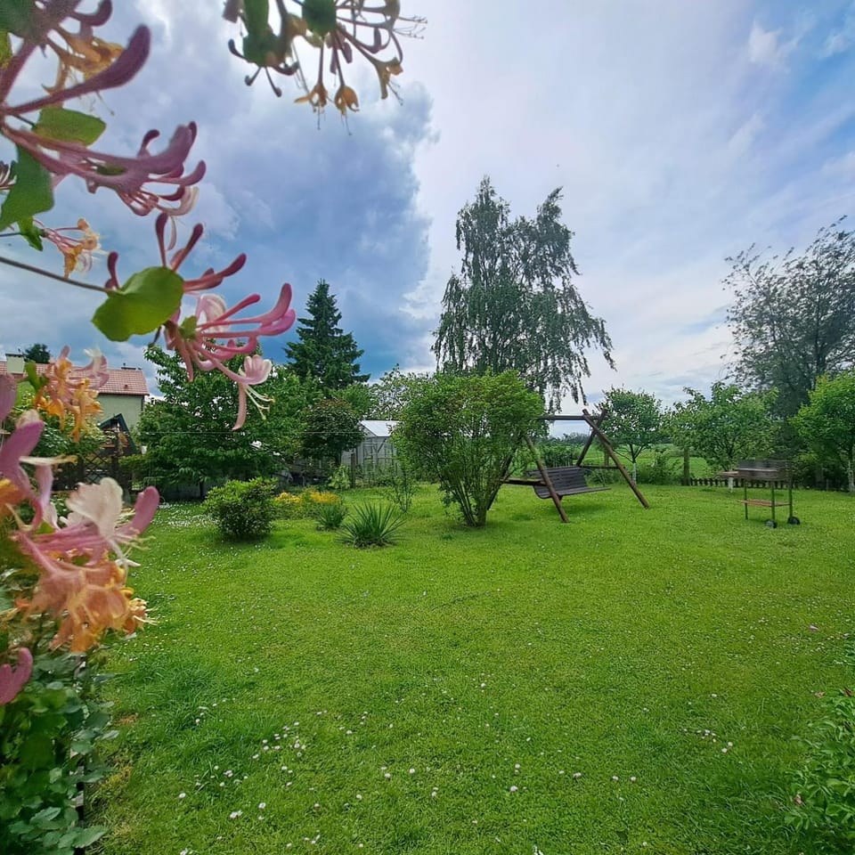 Natural landscape, Garden, Garden view