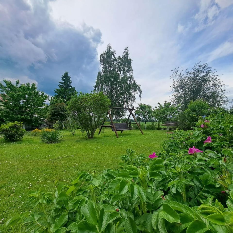 Spring, Natural landscape, Garden, Garden view