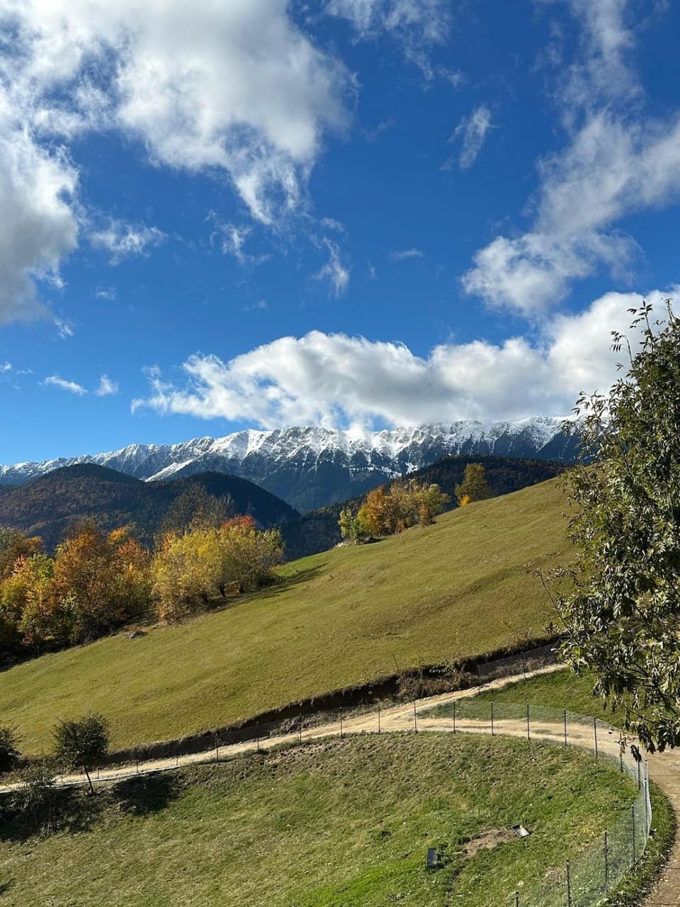 Mountain view