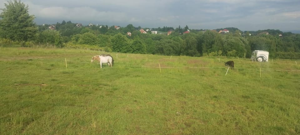 Uszate Ranczo Luxury tent in Lesser Poland Voivodeship