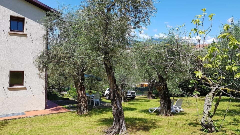 Property building, Garden, Garden view