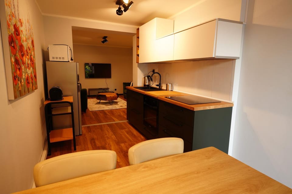 Kitchen or kitchenette, Dining area, oven, stove