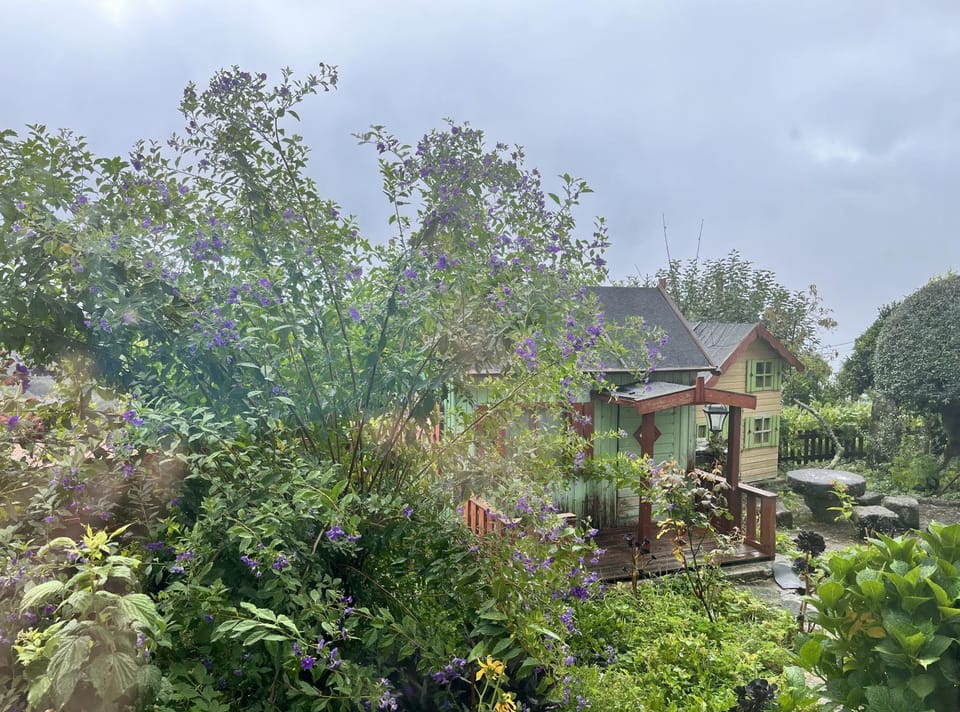 Garden view