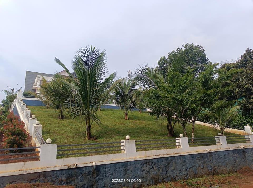 Natural landscape, Garden view