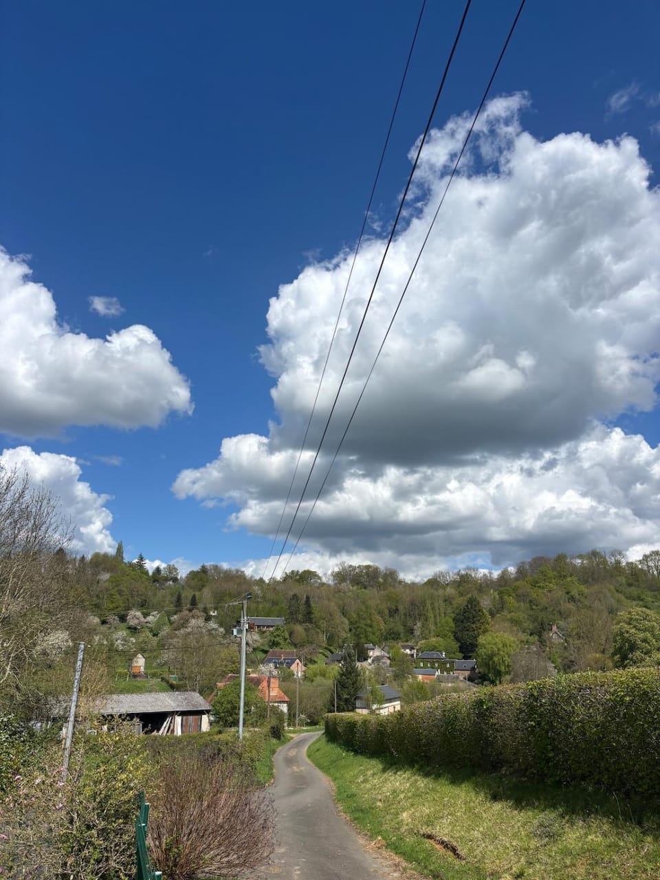 Natural landscape