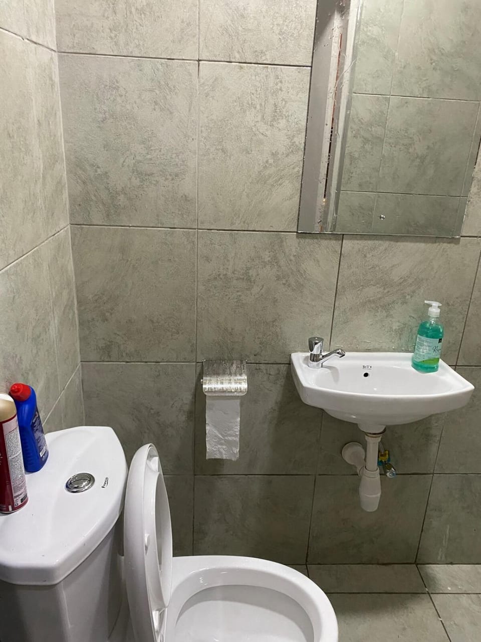 Toilet