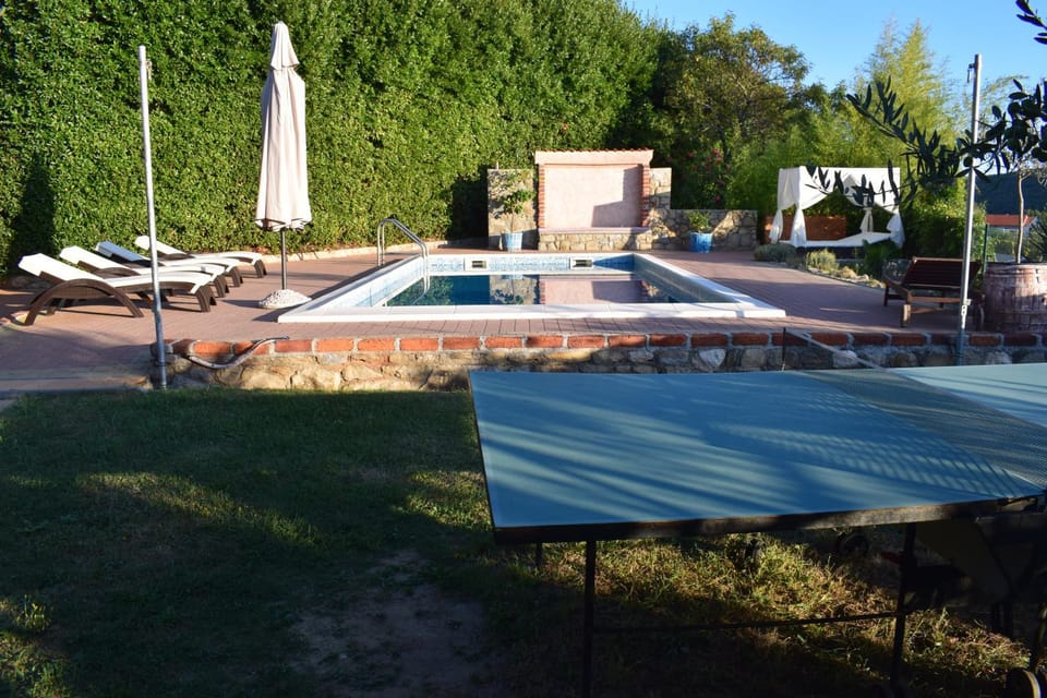 Garden, Swimming pool