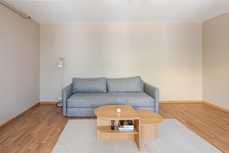 Spacious and super central apartment Apartment in Oslo
