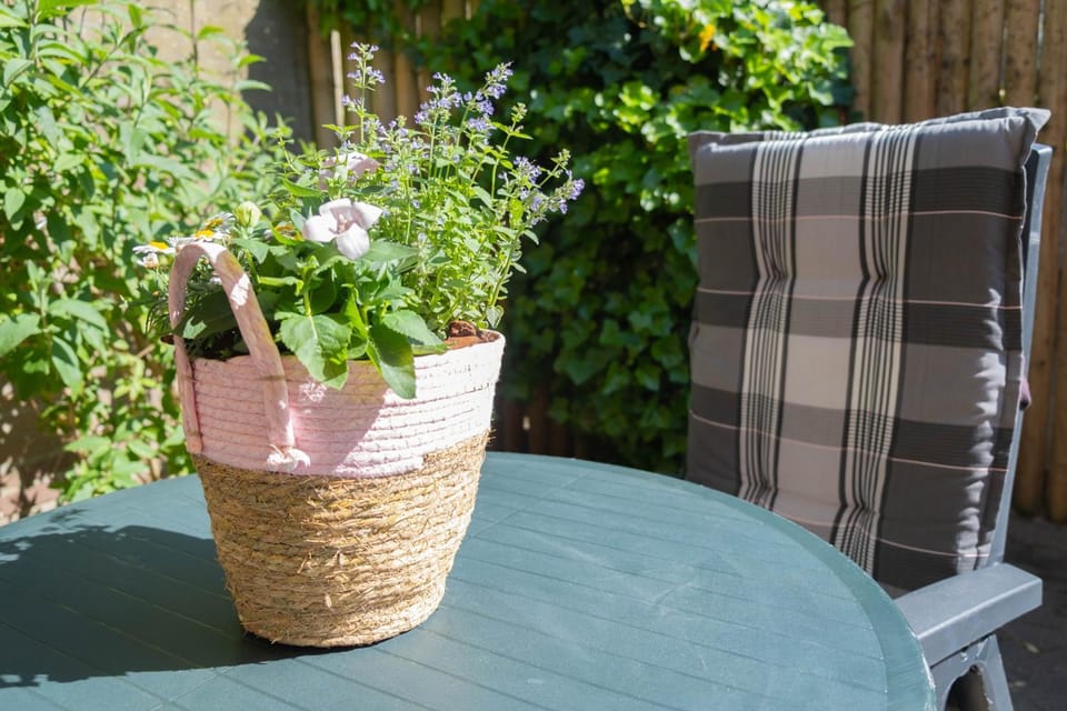 Day, Garden, Seating area