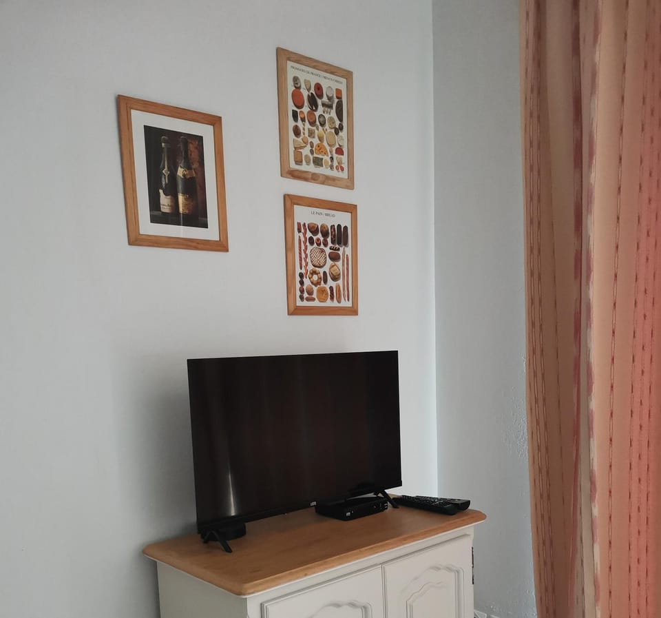 TV and multimedia