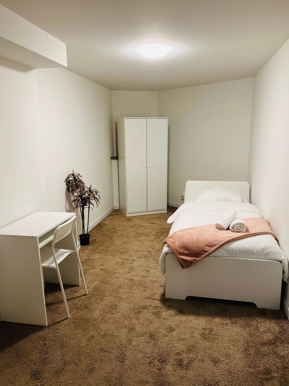 Albergue Bosquet Hostel in Saint-Gilles