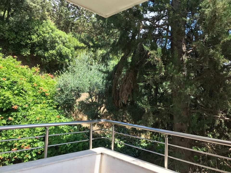 Bumblebee Villa in Tirana County, Albania
