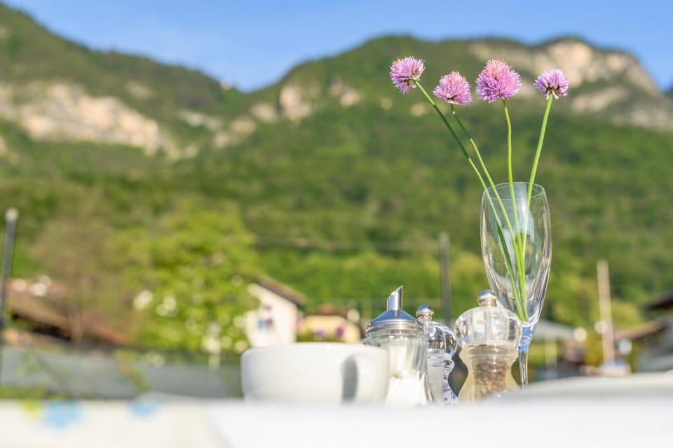 Spring, Natural landscape, Summer, Autumn, Garden view, Mountain view, Breakfast
