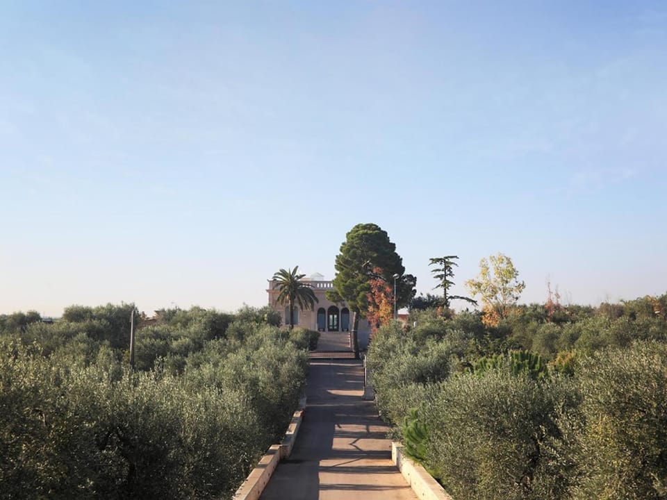 Facade/entrance, Natural landscape